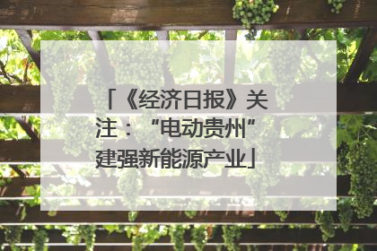 《经济日报》关注：“电动贵州”建强新能源产业