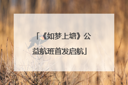 《如梦上塘》公益航班首发启航