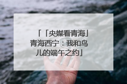 「央媒看青海」青海西宁：我和鸟儿的端午之约