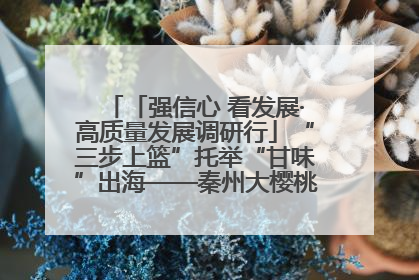 「强信心 看发展·高质量发展调研行」“三步上篮”托举“甘味”出海——秦州大樱桃高质量发展动作分解