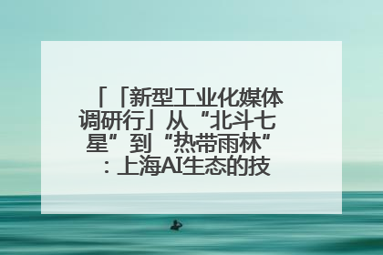 「新型工业化媒体调研行」从“北斗七星”到“热带雨林”：上海AI生态的技术商业共生密码