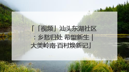 「视频」汕头东湖社区：乡愁归处 希望新生｜大美岭南·百村焕新记