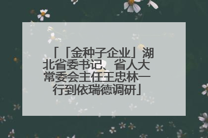「金种子企业」湖北省委书记、省人大常委会主任王忠林一行到依瑞德调研