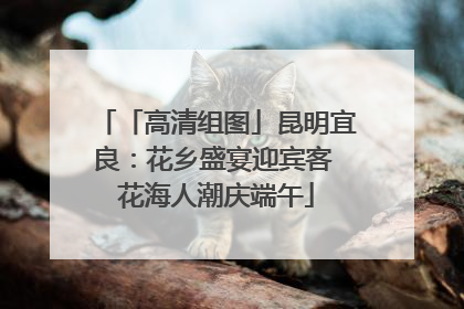 「高清组图」昆明宜良：花乡盛宴迎宾客 花海人潮庆端午
