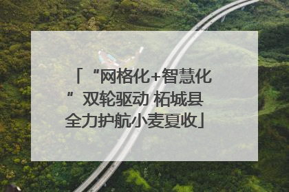 “网格化+智慧化”双轮驱动 柘城县全力护航小麦夏收