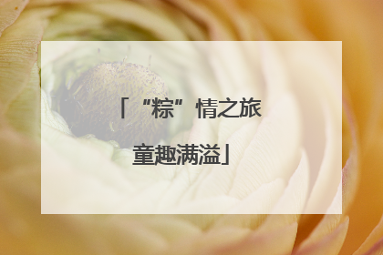 “粽”情之旅 童趣满溢