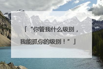 “你管我什么级别，我能抓你的级别！”