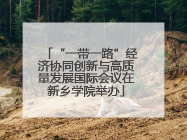 “一带一路”经济协同创新与高质量发展国际会议在新乡学院举办