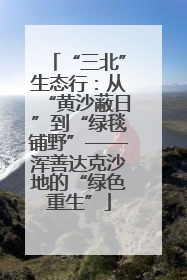 “三北”生态行：从“黄沙蔽日”到“绿毯铺野”——浑善达克沙地的“绿色重生”