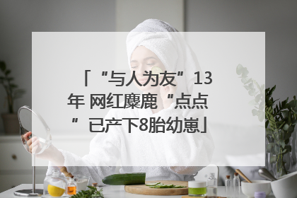 “与人为友”13年 网红麋鹿“点点”已产下8胎幼崽