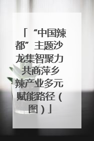 “中国辣都”主题沙龙集智聚力 共商萍乡辣产业多元赋能路径（图）
