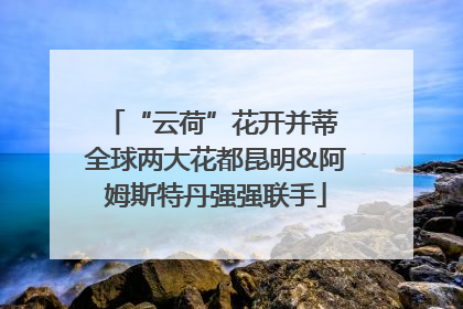 “云荷”花开并蒂 全球两大花都昆明&阿姆斯特丹强强联手