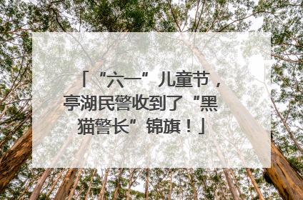 “六一”儿童节，亭湖民警收到了“黑猫警长”锦旗！