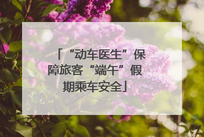 “动车医生”保障旅客“端午”假期乘车安全
