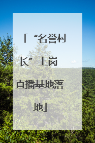 “名誉村长”上岗 直播基地落地