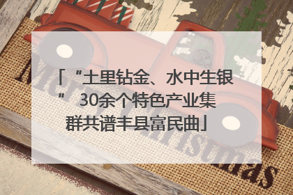 “土里钻金、水中生银” 30余个特色产业集群共谱丰县富民曲