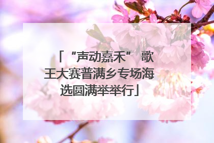 “声动嘉禾” 歌王大赛普满乡专场海选圆满举举行