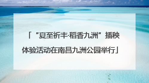 “夏至祈丰·稻香九洲”插秧体验活动在南昌九洲公园举行