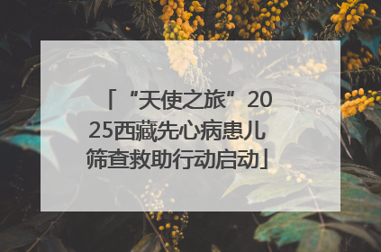 “天使之旅”2025西藏先心病患儿筛查救助行动启动