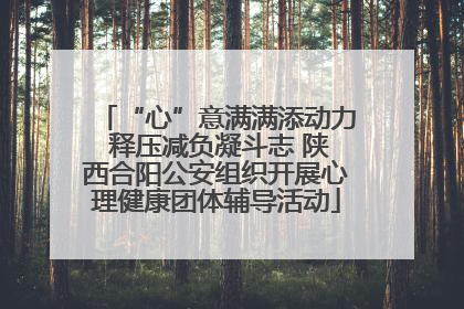 “心”意满满添动力 释压减负凝斗志 陕西合阳公安组织开展心理健康团体辅导活动