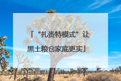 “扎赉特模式”让黑土粮仓家底更实