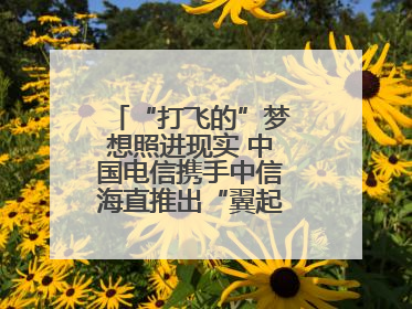 “打飞的”梦想照进现实 中国电信携手中信海直推出“翼起飞”空中旅游