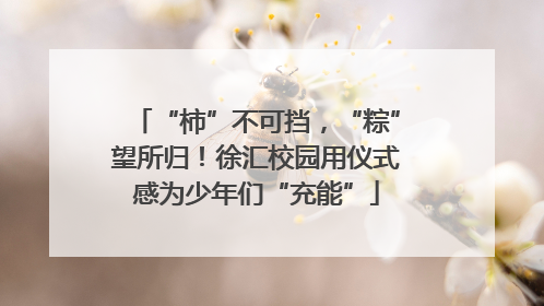 “柿”不可挡，“粽”望所归！徐汇校园用仪式感为少年们“充能”