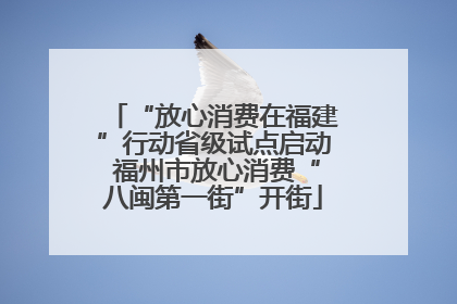 “放心消费在福建”行动省级试点启动 福州市放心消费“八闽第一街”开街