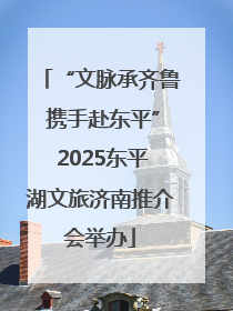 “文脉承齐鲁 携手赴东平” 2025东平湖文旅济南推介会举办