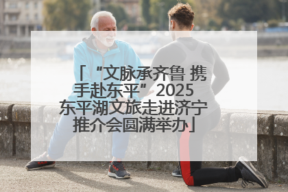 “文脉承齐鲁 携手赴东平”2025东平湖文旅走进济宁推介会圆满举办