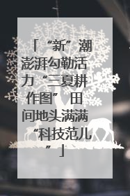 “新”潮澎湃勾勒活力“三夏耕作图” 田间地头满满“科技范儿”