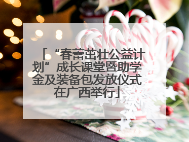 “春蕾茁壮公益计划”成长课堂暨助学金及装备包发放仪式在广西举行