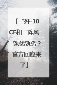 “歼-10CE和‘阵风’孰优孰劣？”官方回应来了