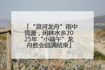“浪河龙舟”雨中竞渡，闲林水乡2025年“小端午”龙舟胜会圆满结束