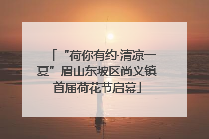 “荷你有约·清凉一夏”眉山东坡区尚义镇首届荷花节启幕