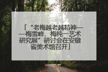 “老梅越老越精神——梅雪峰、梅纯一艺术研究展”研讨会在安徽省美术馆召开