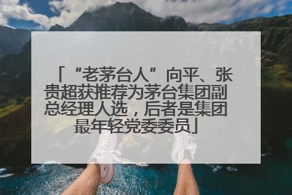 “老茅台人”向平、张贵超获推荐为茅台集团副总经理人选，后者是集团最年轻党委委员