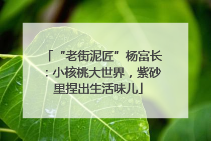 “老街泥匠”杨富长：小核桃大世界，紫砂里捏出生活味儿