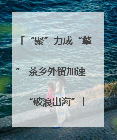 “聚”力成“擎” 茶乡外贸加速“破浪出海”