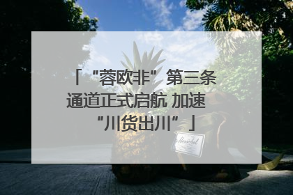 “蓉欧非”第三条通道正式启航 加速“川货出川”