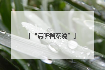 “请听档案说”