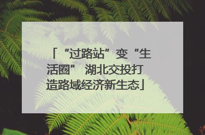 “过路站”变“生活圈” 湖北交投打造路域经济新生态