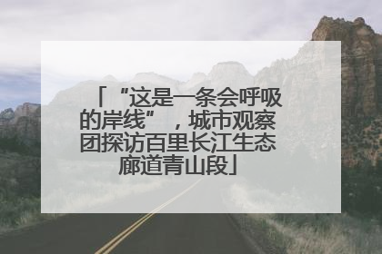 “这是一条会呼吸的岸线”，城市观察团探访百里长江生态廊道青山段