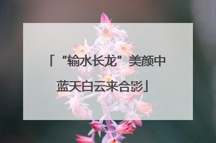 “输水长龙”美颜中 蓝天白云来合影