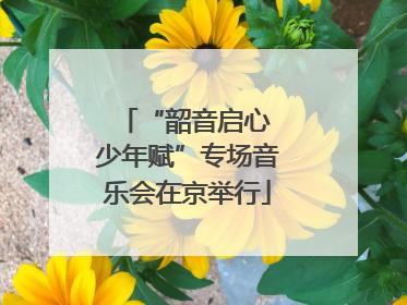 “韶音启心 少年赋”专场音乐会在京举行