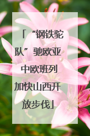 “钢铁驼队”驰欧亚 中欧班列加快山西开放步伐