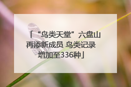 “鸟类天堂”六盘山再添新成员 鸟类记录增加至336种
