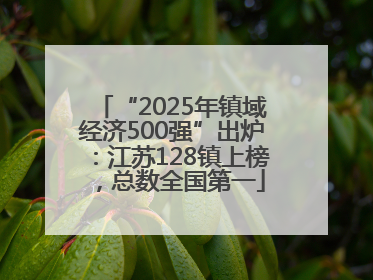 “2025年镇域经济500强”出炉：江苏128镇上榜，总数全国第一