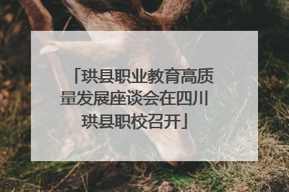 珙县职业教育高质量发展座谈会在四川珙县职校召开