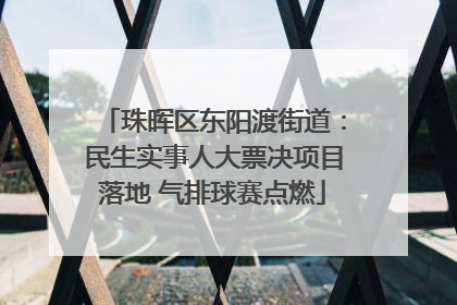 珠晖区东阳渡街道：民生实事人大票决项目落地 气排球赛点燃